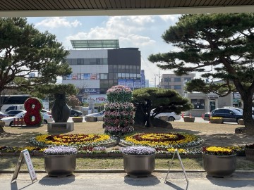 대전시, 봄맞이 가로녹지대 정비 및 봄꽃 새단장