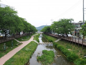 경북도, 집중호우로 발생한 하천쓰레기 정화사업 추진