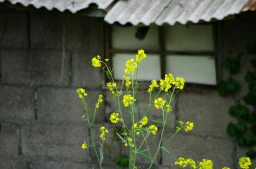 강릉시 복지사각지대 주거환경개선 사업 시행