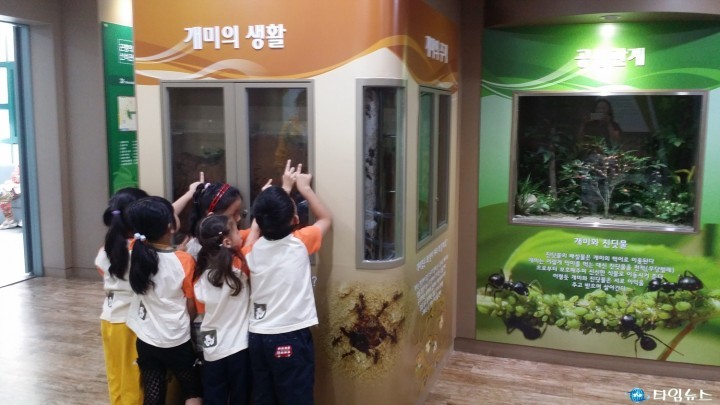 개미의 일생, 자연생태박물관에서 확인하세요!