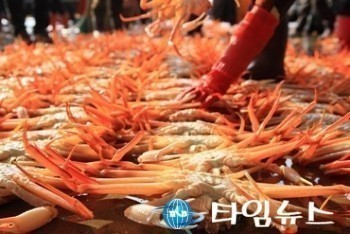 풍성한 동해안의 진객 “울진대게가 돌아왔다!"