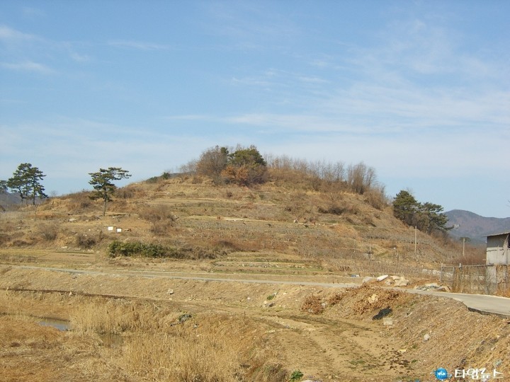 유하패총(도 기념물 제45호) 공동발굴조사 